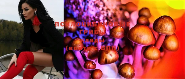 бошки Елабуга