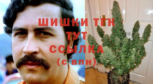 твердый Елизово