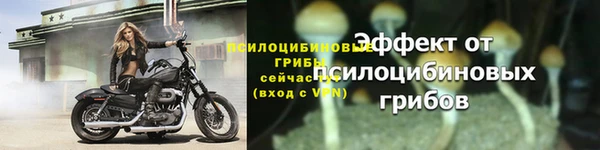 MDMA Premium VHQ Ельня
