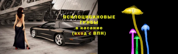 бошки Елабуга