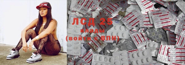 бошки Елабуга