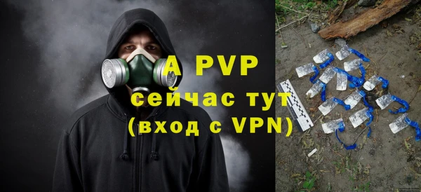 твердый Елизово