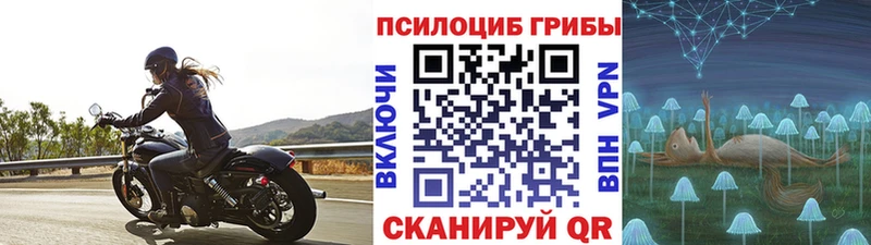 площадка официальный сайт  OMG как зайти  Кингисепп  цена   Галлюциногенные грибы Cubensis 