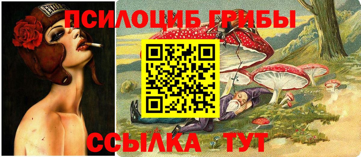 Галлюциногенные грибы Psilocybe Кингисепп