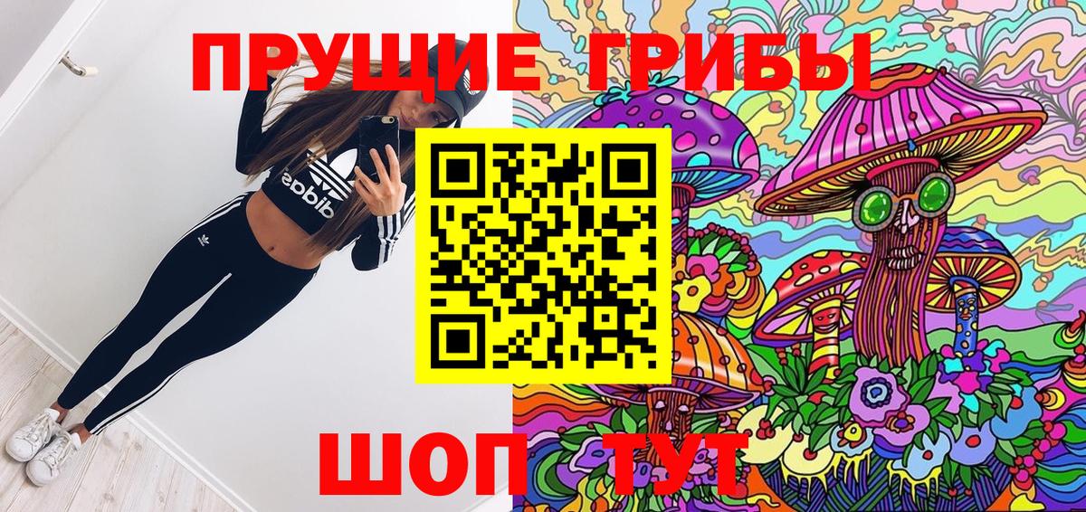 Псилоцибиновые грибы GOLDEN TEACHER  Вход с VPN  Кингисепп  Псилоцибиновые грибы Psilocybine cubensis 